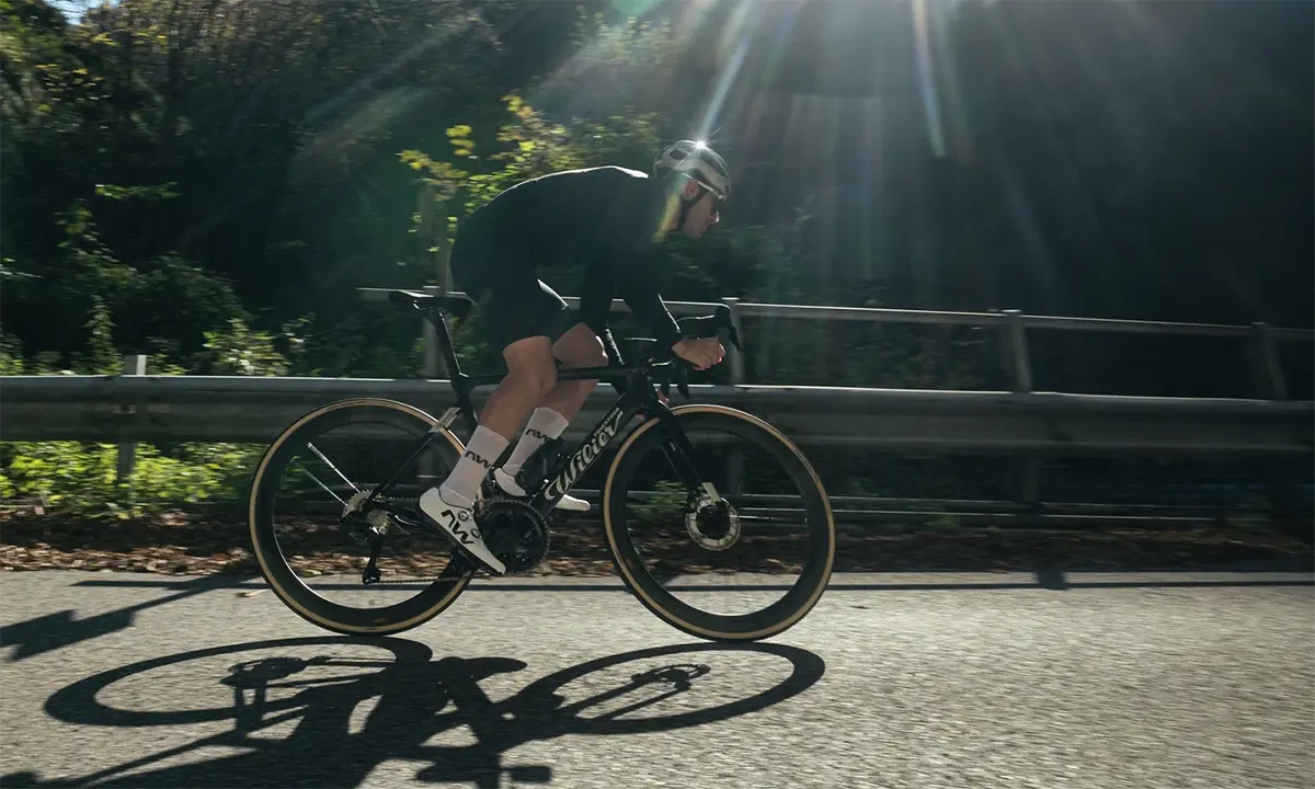 wilier filante slr